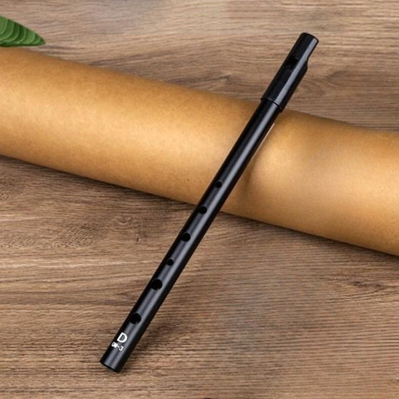 Tin Whistle Flute - D Key Tin Whistle Beginner Child