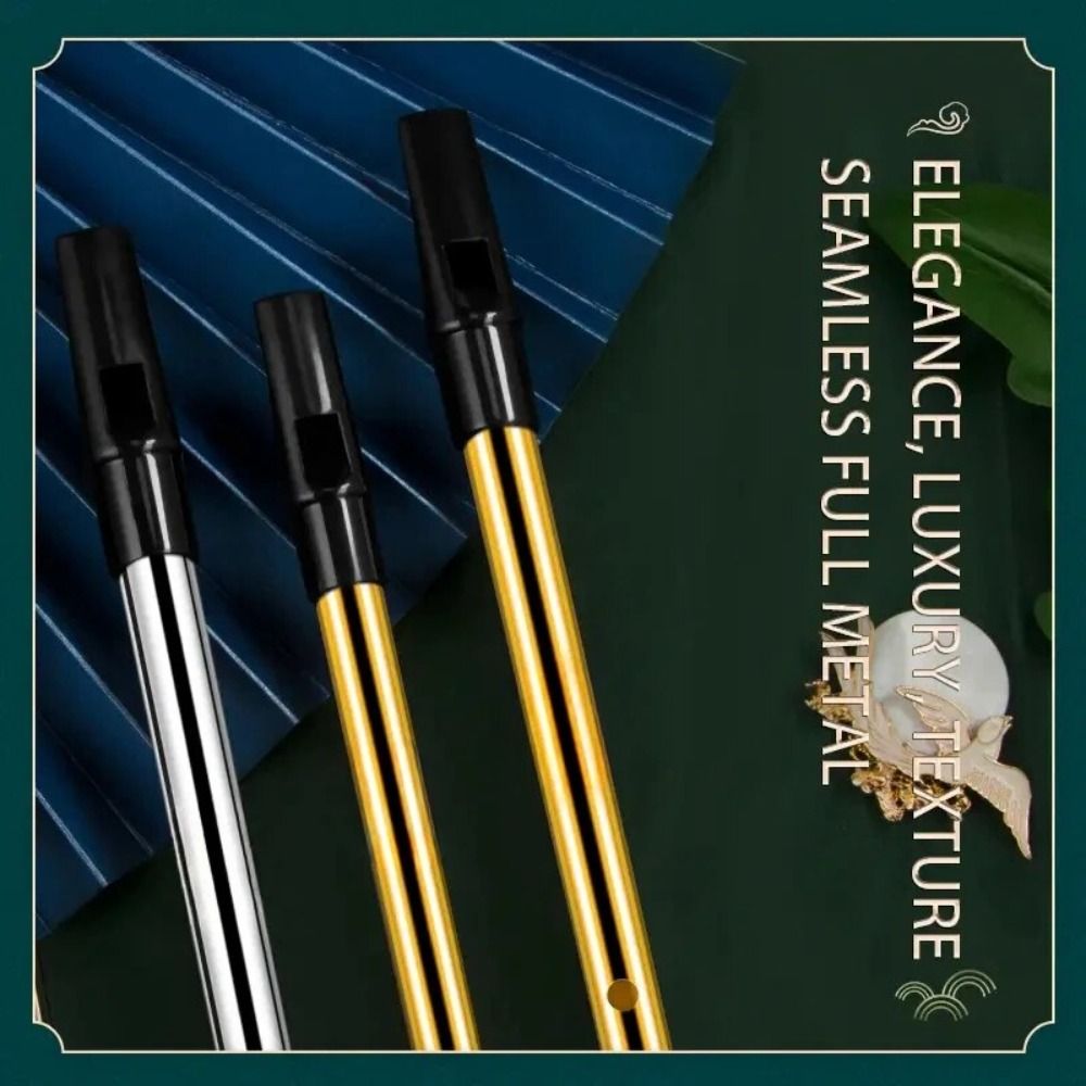 C/D Key Irish Whistle Flute Ri - مراجعة Tin Whistle Flute وسعره