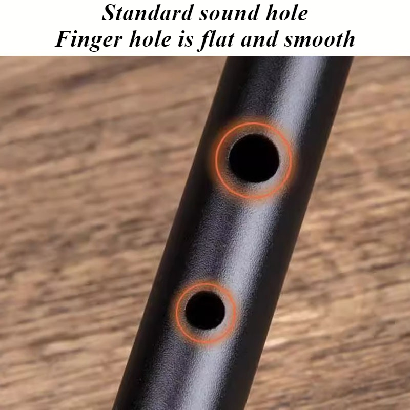 D Key Tin Whistle Beginner Chi - مراجعة Tin Whistle Flute وسعره