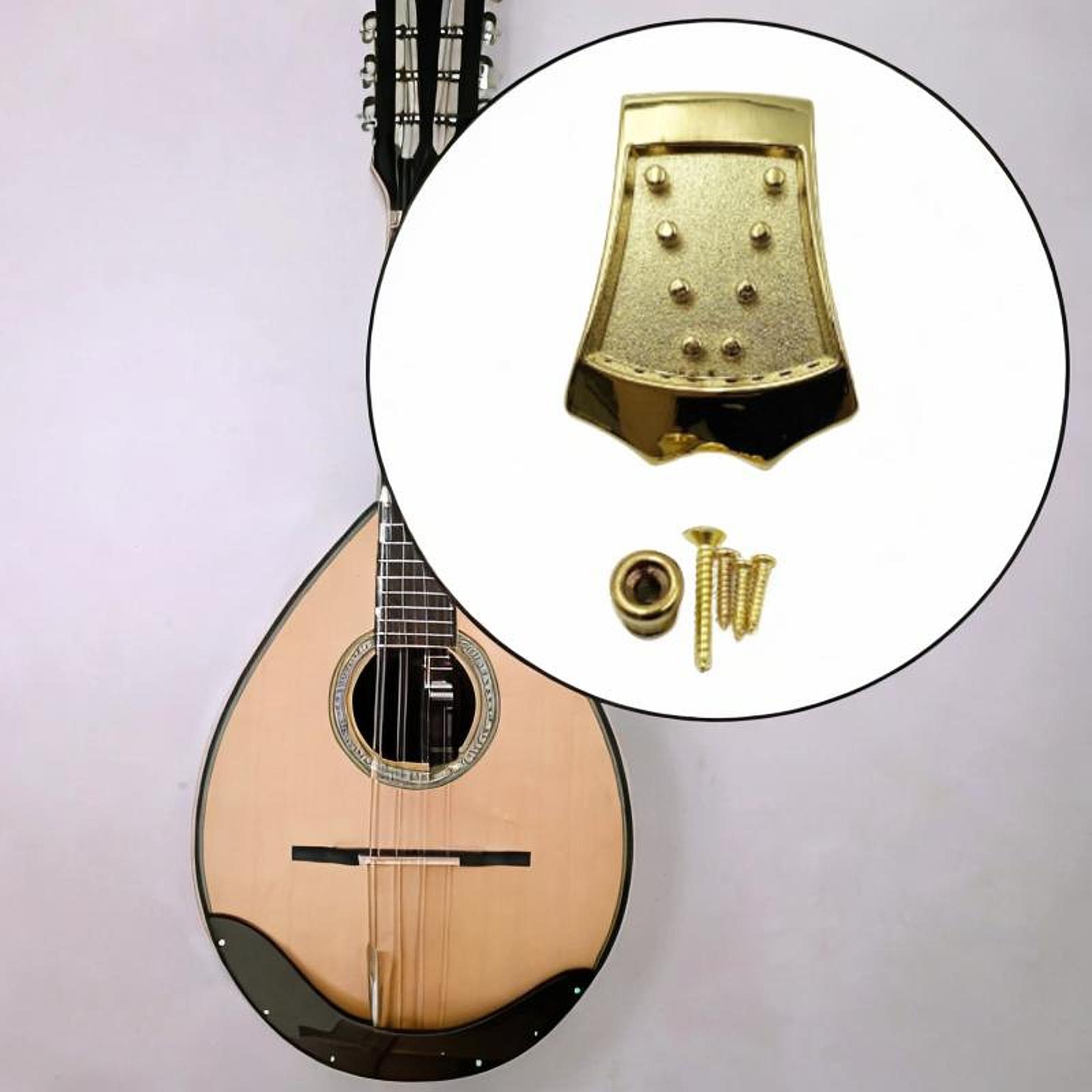 Mandolin Tailpiece Guitar Part - مراجعة Mandolin A Style وسعره