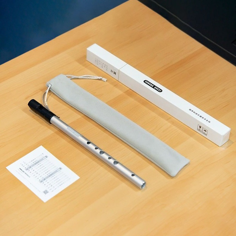 D Key 6 Hole Penny Whistle Met - مراجعة Tin Whistle Flute وسعره