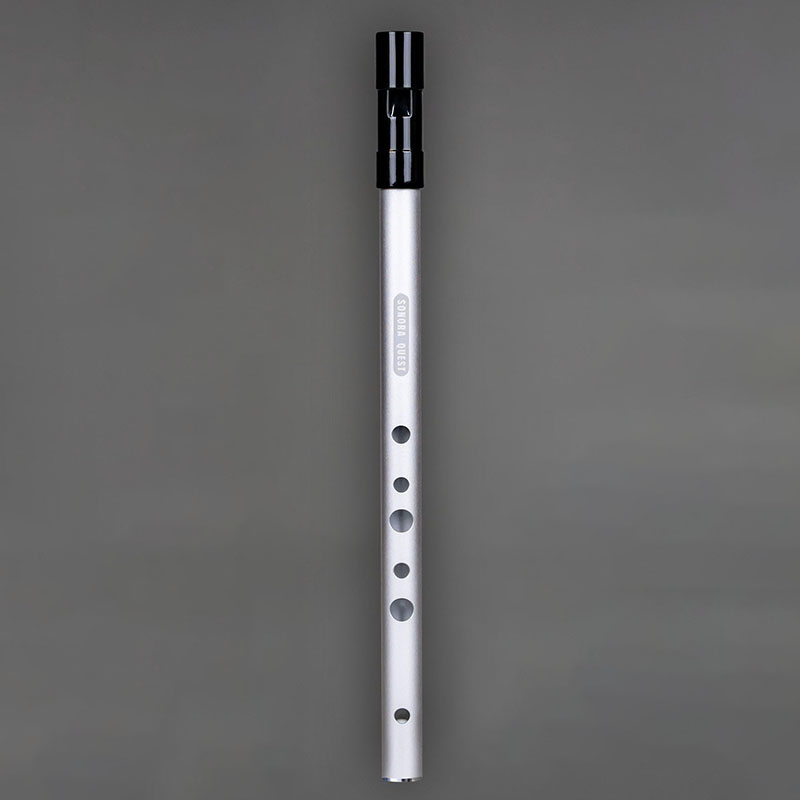 D Key 6 Hole Penny Whistle Met - مراجعة Tin Whistle Flute وسعره