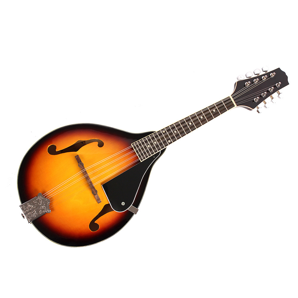 IRIN Mandolin 8-String Guitar  - مراجعة Mandolin A Style وسعره