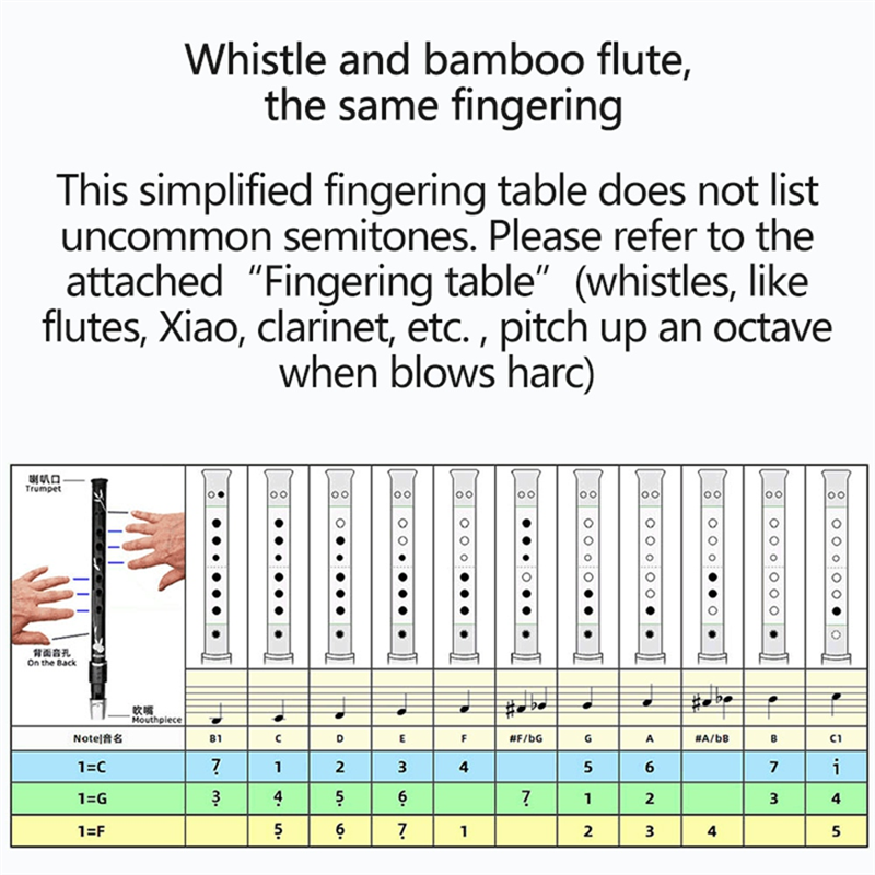 RTENTE-6 Holes Irish Tin Penny - مراجعة Tin Whistle Flute وسعره