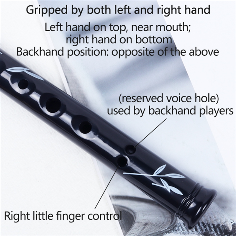 RTENTE-6 Holes Irish Tin Penny - مراجعة Tin Whistle Flute وسعره