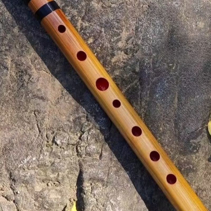 Japan Flute C Key Bamboo Trans - مراجعة Musical Instrument Fife وسعره
