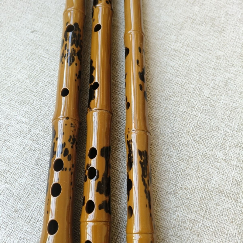 Traditional Flute Professional - مراجعة Musical Instrument Fife وسعره