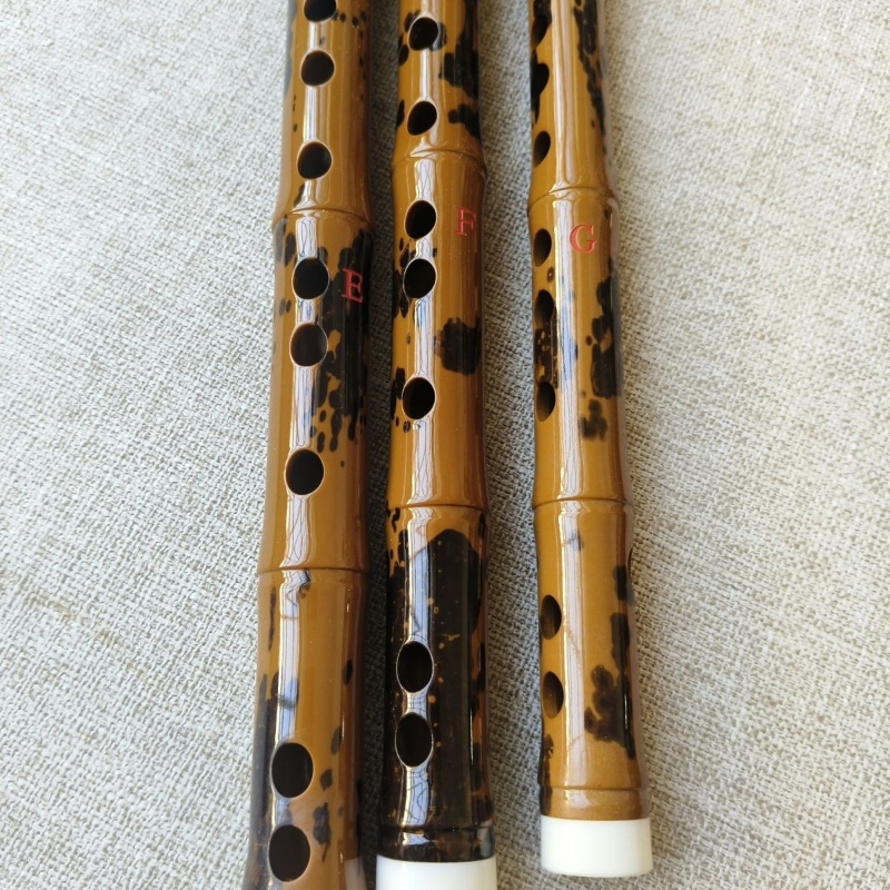 Traditional Flute Professional - مراجعة Musical Instrument Fife وسعره