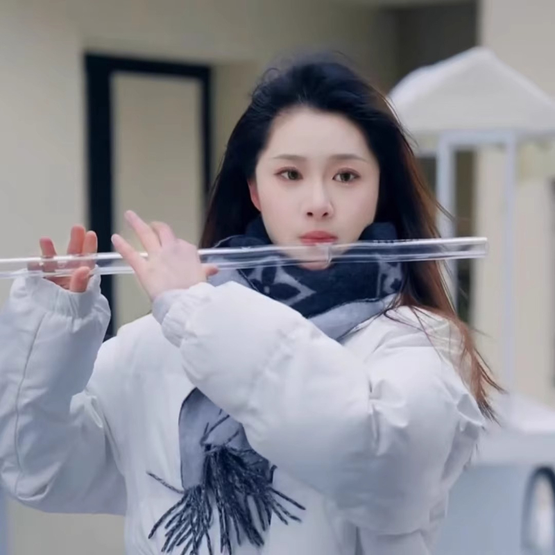 Transparent Flute Professional - مراجعة Musical Instrument Fife وسعره