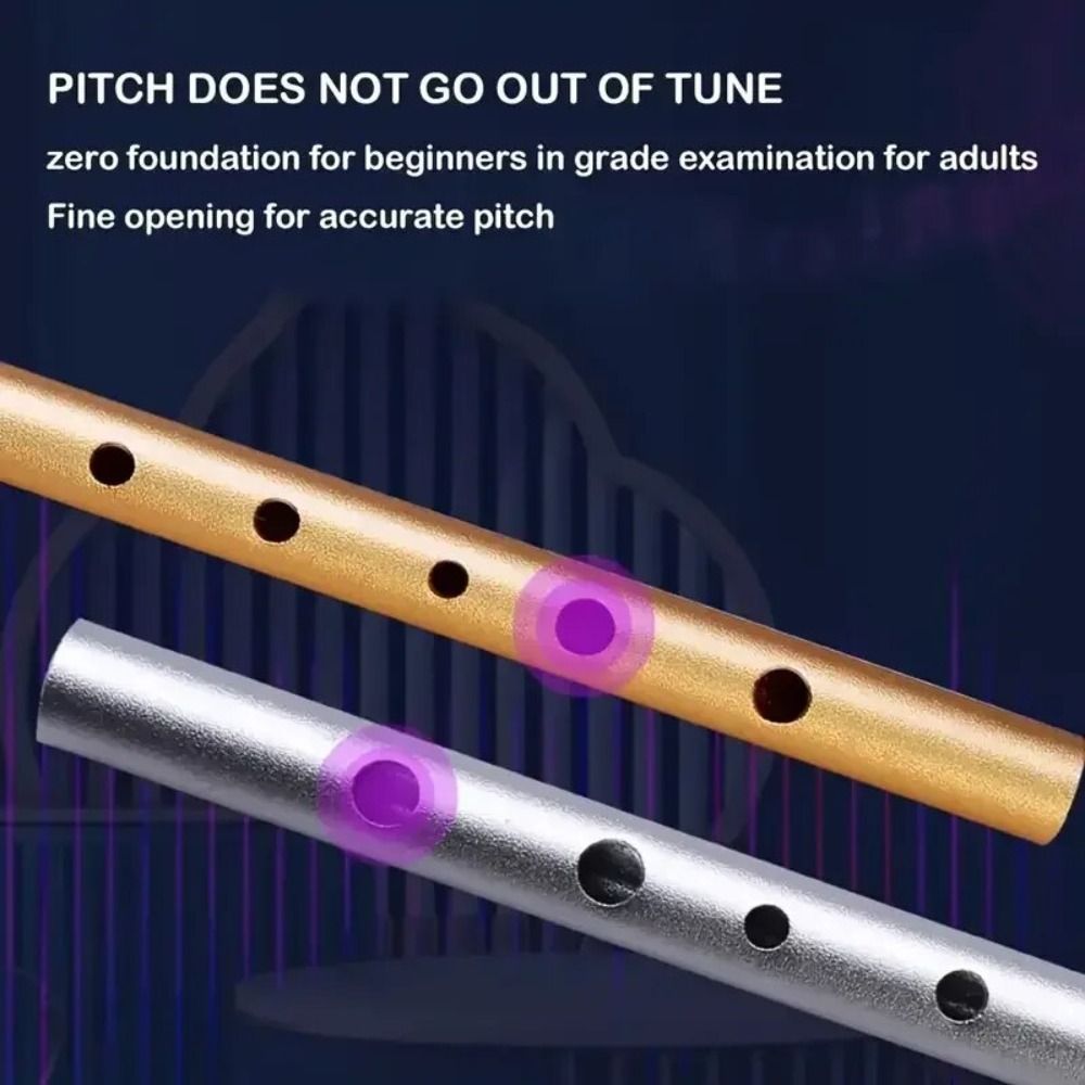 C/D Key Irish Whistle Flute 6  - مراجعة Tin Whistle Flute وسعره