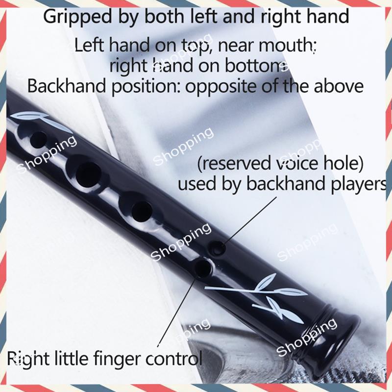 A44M 6 Holes Irish Tin Penny W - مراجعة Tin Whistle Flute وسعره