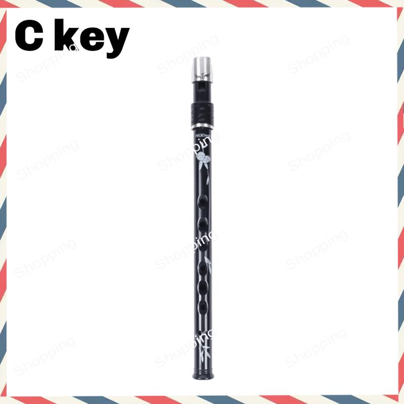 A44M 6 Holes Irish Tin Penny W - مراجعة Tin Whistle Flute وسعره