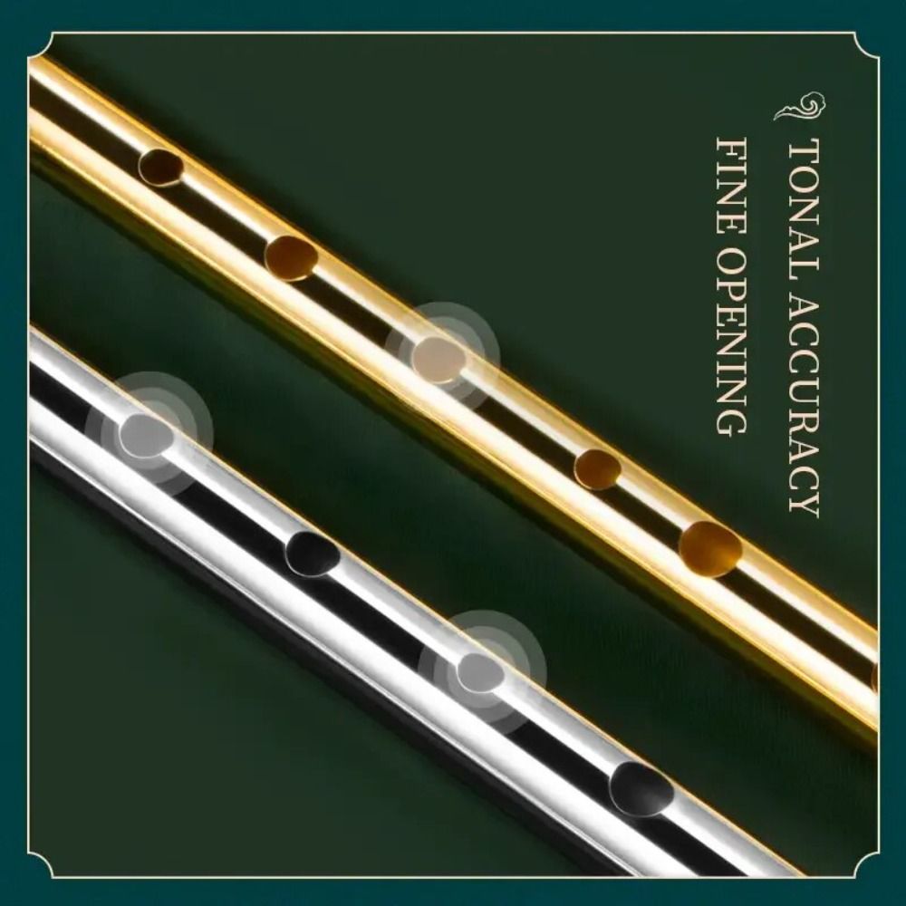 6 Holes C/D Key Irish Whistle  - مراجعة Tin Whistle Flute وسعره