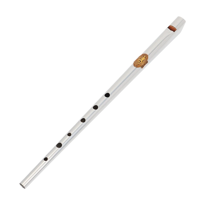 D/C Key Tin Whistle Student Be - مراجعة Tin Whistle Flute وسعره