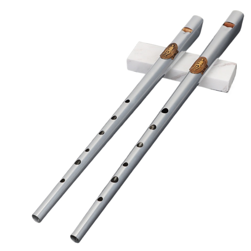 D/C Key Tin Whistle Student Be - مراجعة Tin Whistle Flute وسعره