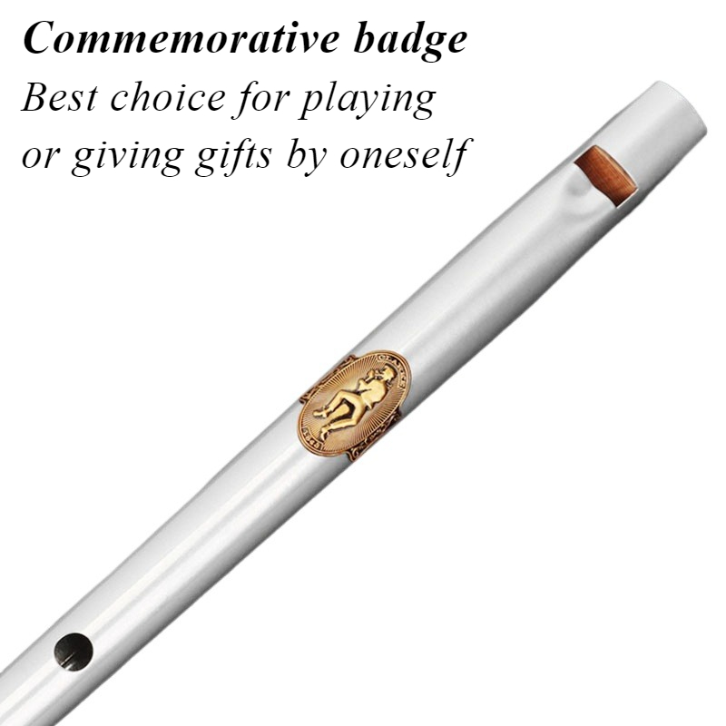 D/C Key Tin Whistle Student Be - مراجعة Tin Whistle Flute وسعره