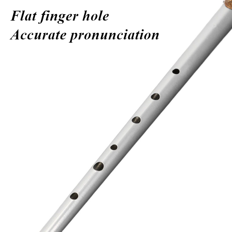 D/C Key Tin Whistle Student Be - مراجعة Tin Whistle Flute وسعره