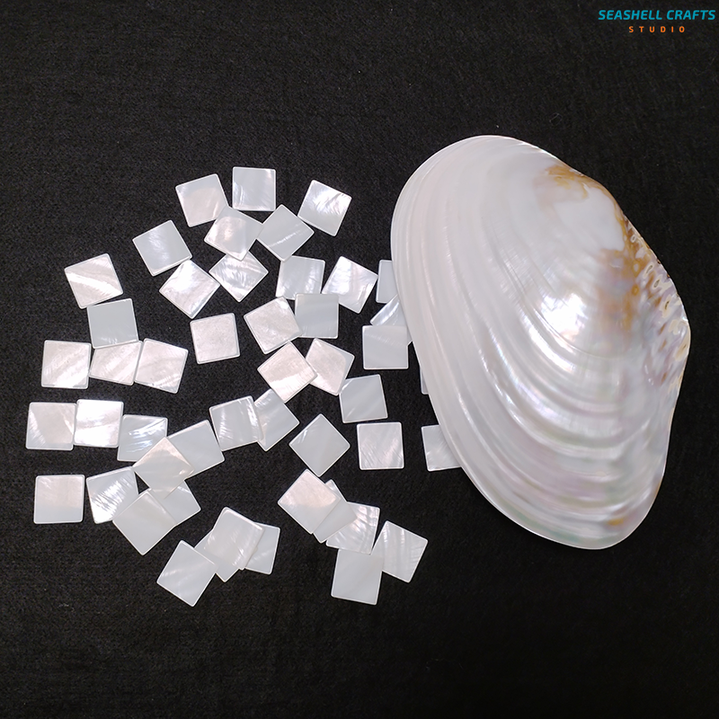 10 pcs Inlay Material White Mo - مراجعة Musical Instrument Craft وسعره