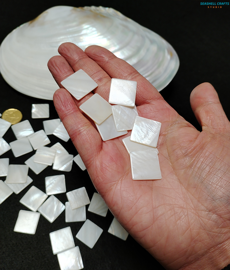 10 pcs Inlay Material White Mo - مراجعة Musical Instrument Craft وسعره
