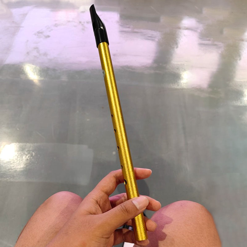6 Hole Penny Whistle Student P - مراجعة Tin Whistle Flute وسعره